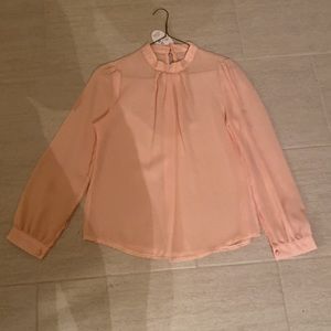 Beautiful pink shear blouse